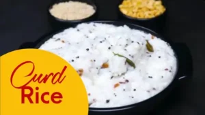 Curd Rice
